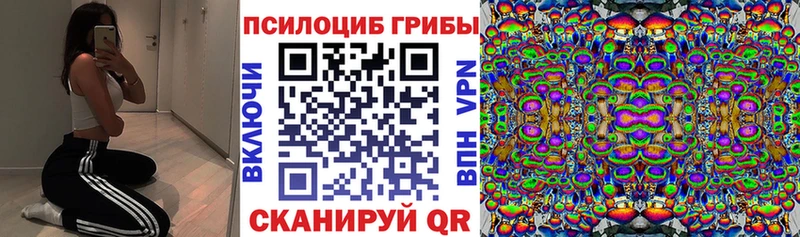 купить  сайты  Воркута  Псилоцибиновые грибы мухоморы 